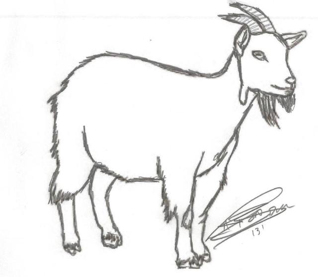 12079451_531668356997743_2710256318757262606_n