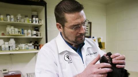 11755276_502708883227024_418037815726716110_n-2